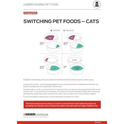 Kitten Dry Food P7152