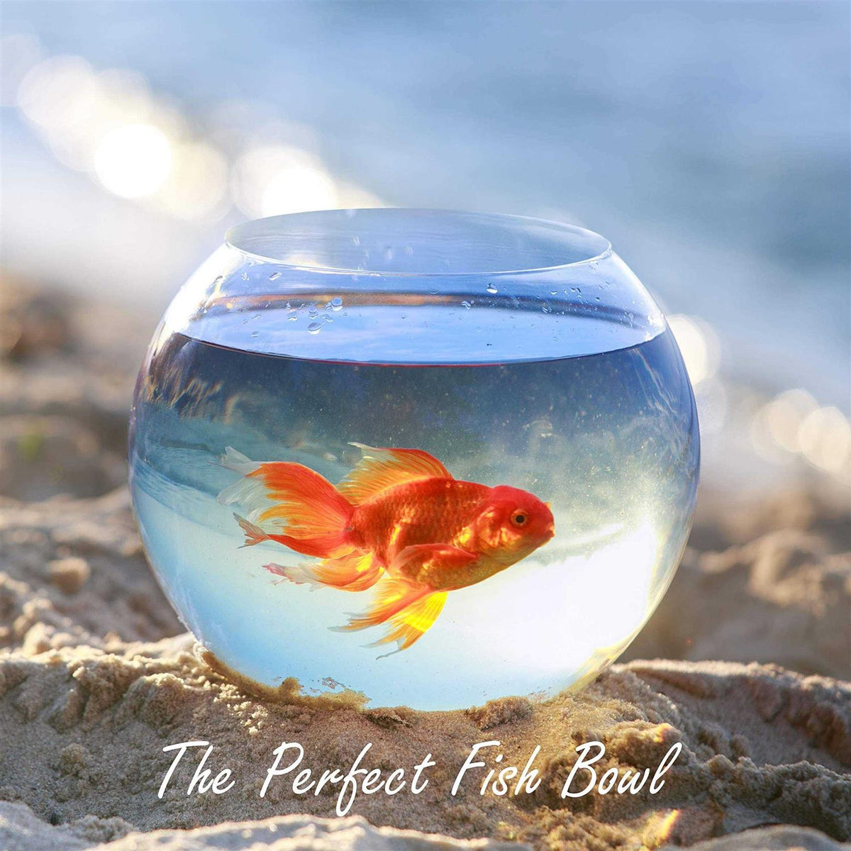 Glass Bubble Bowl A635