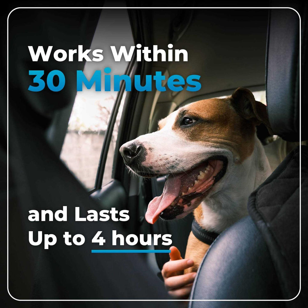 Calming Supplement for Dogs V444217