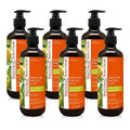 Exfoliating Body Wash Pack of 6 Y2857