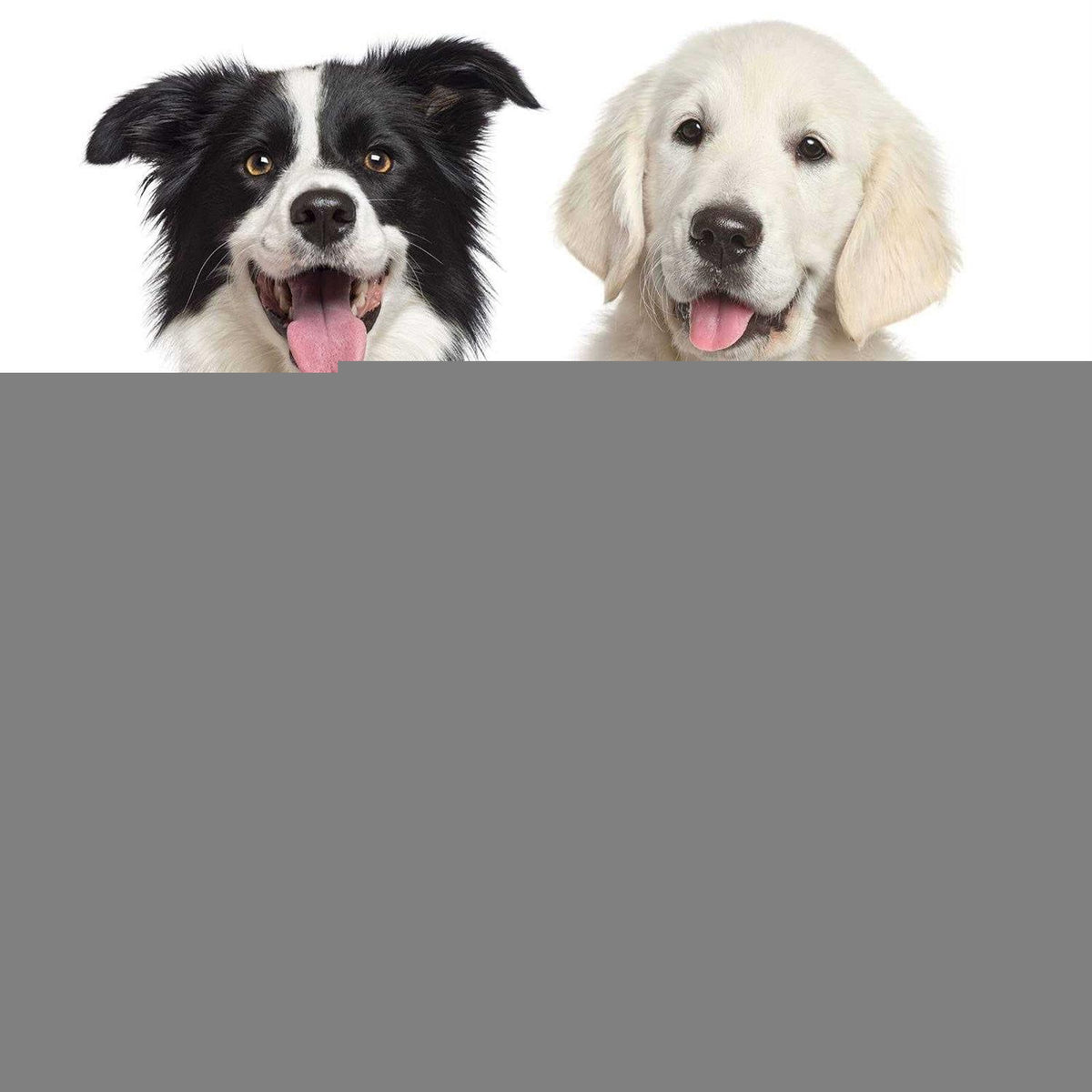 Slow Feeder Non Slip Dog Bowl Y272