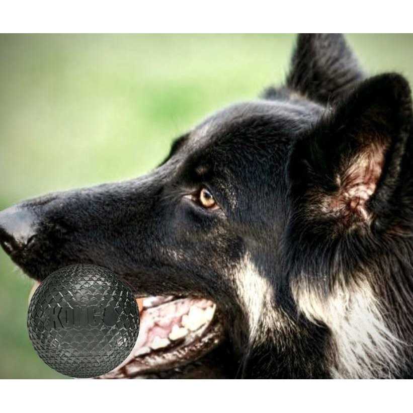 Duramax Ball Dog Toy N449436