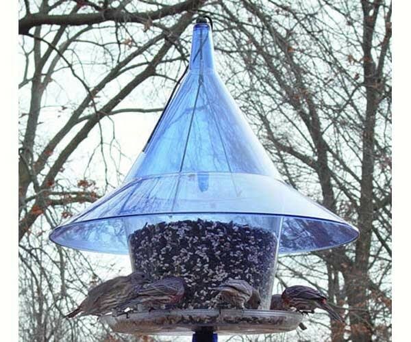 Bluebird Feeder V511