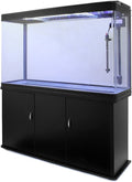 Large Aquarium 4ft 300L P6684