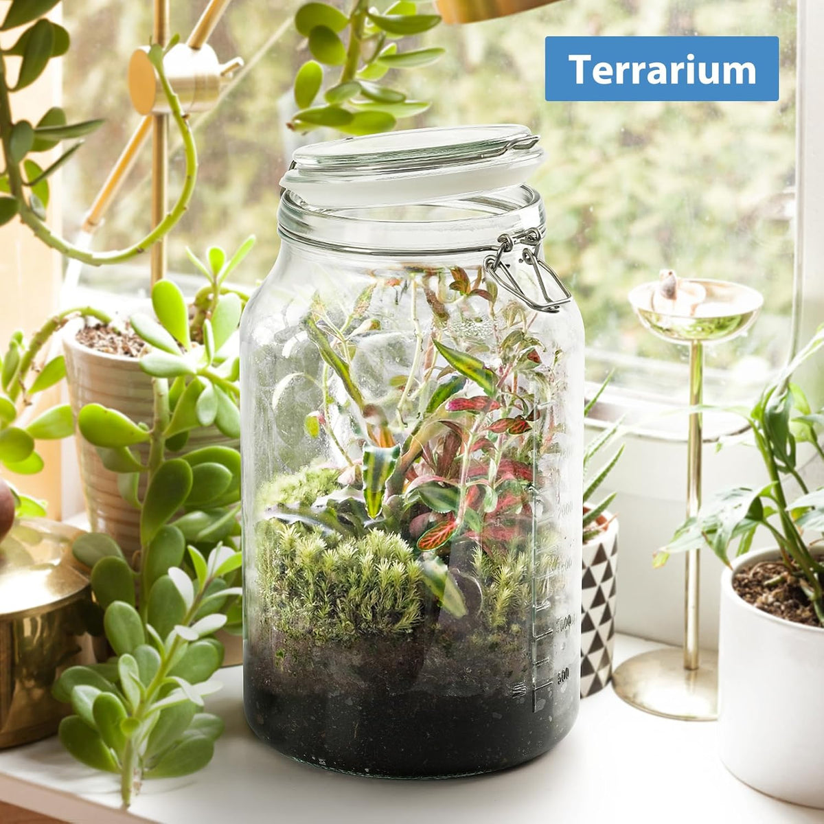 2 Pack 1 Gallon Glass Storage Jars with Airtight Lids G65814