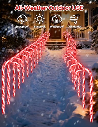 24 Pack Solar Christmas Candy Cane Lights with 168 Warm Lights L53098
