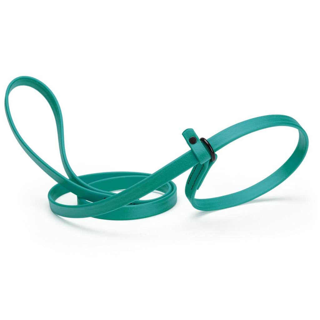 Biothane Slip Dog Leash C770342