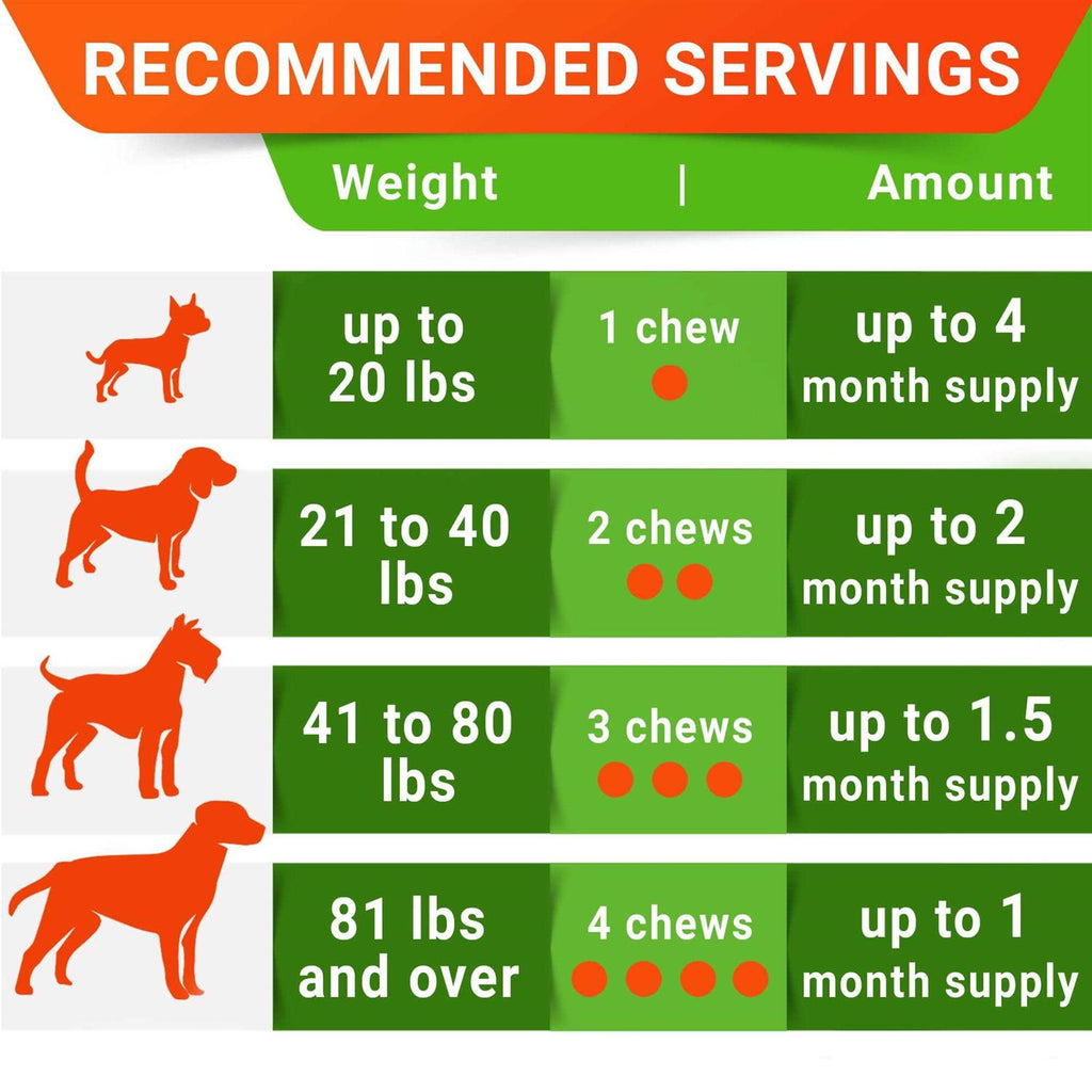 Probiotics for Dogs T51048