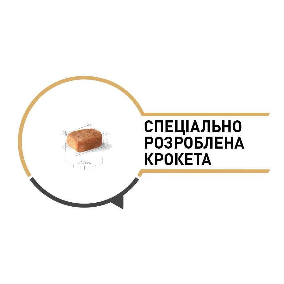Dry Dog Food P387