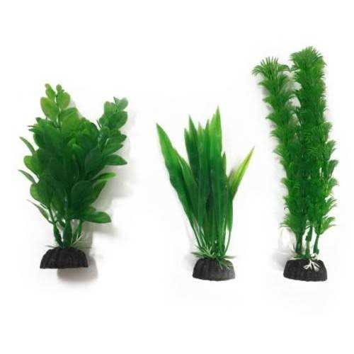 Aquarium Plants 3 Count W425