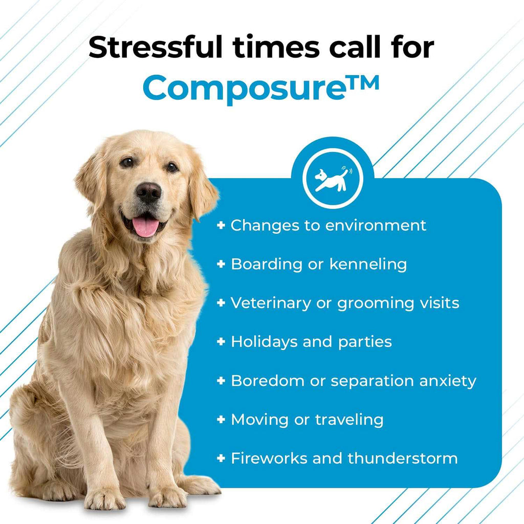 Calming Supplement for Dogs V444217