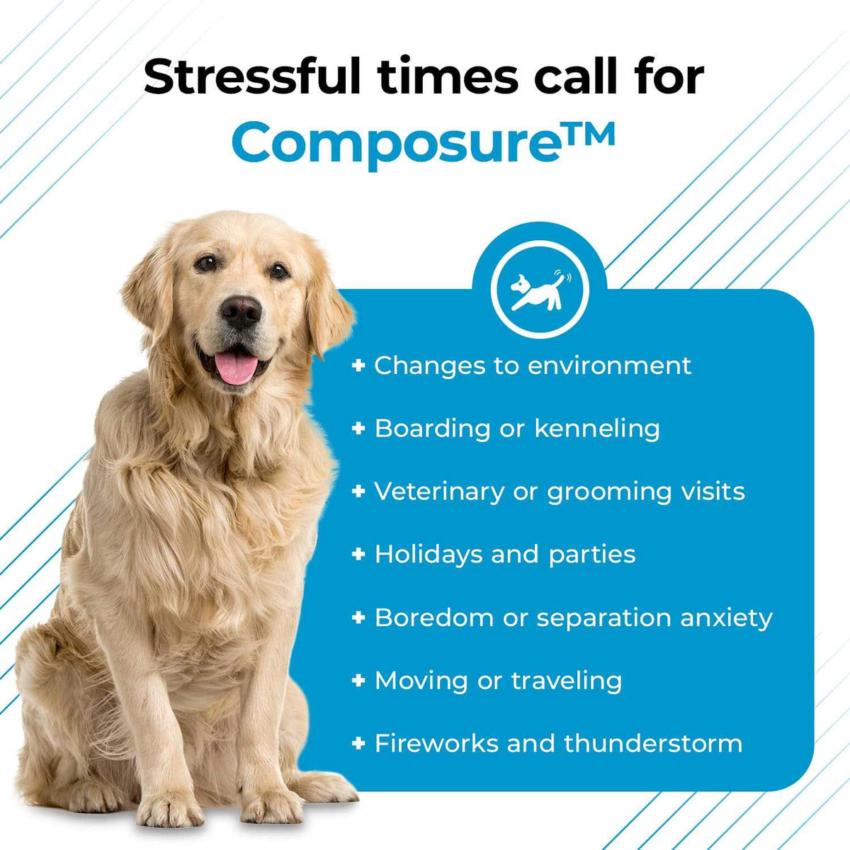 Calming Supplement for Dogs V444217