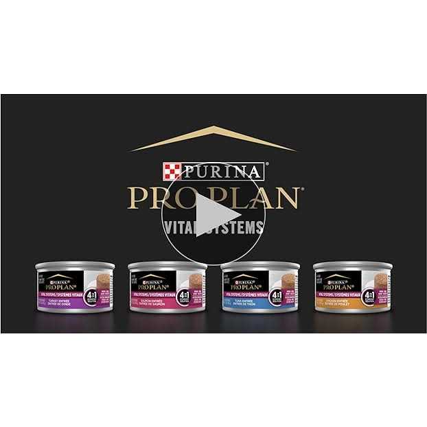 Wet Cat Food I9789