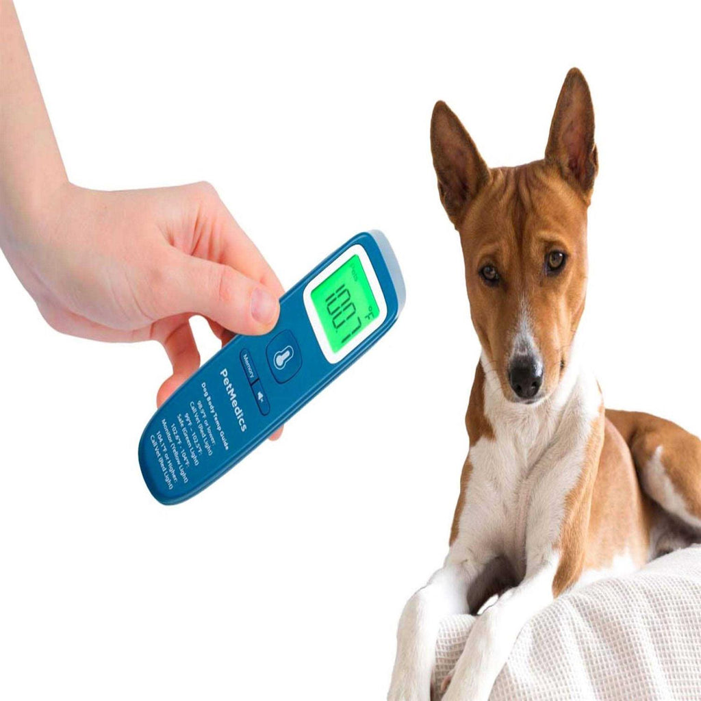 Digital Non-Contact Dog Thermometer Q33867