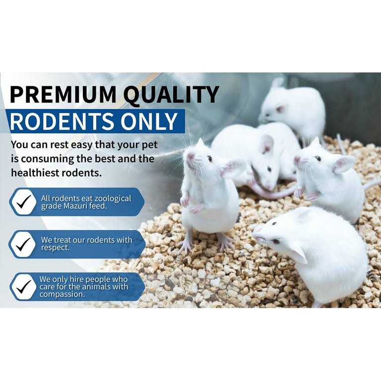 Frozen Mice Feeders Combo Pack 150 Count E38368