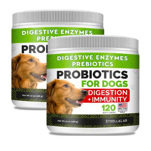 Probiotics for Dogs T51048