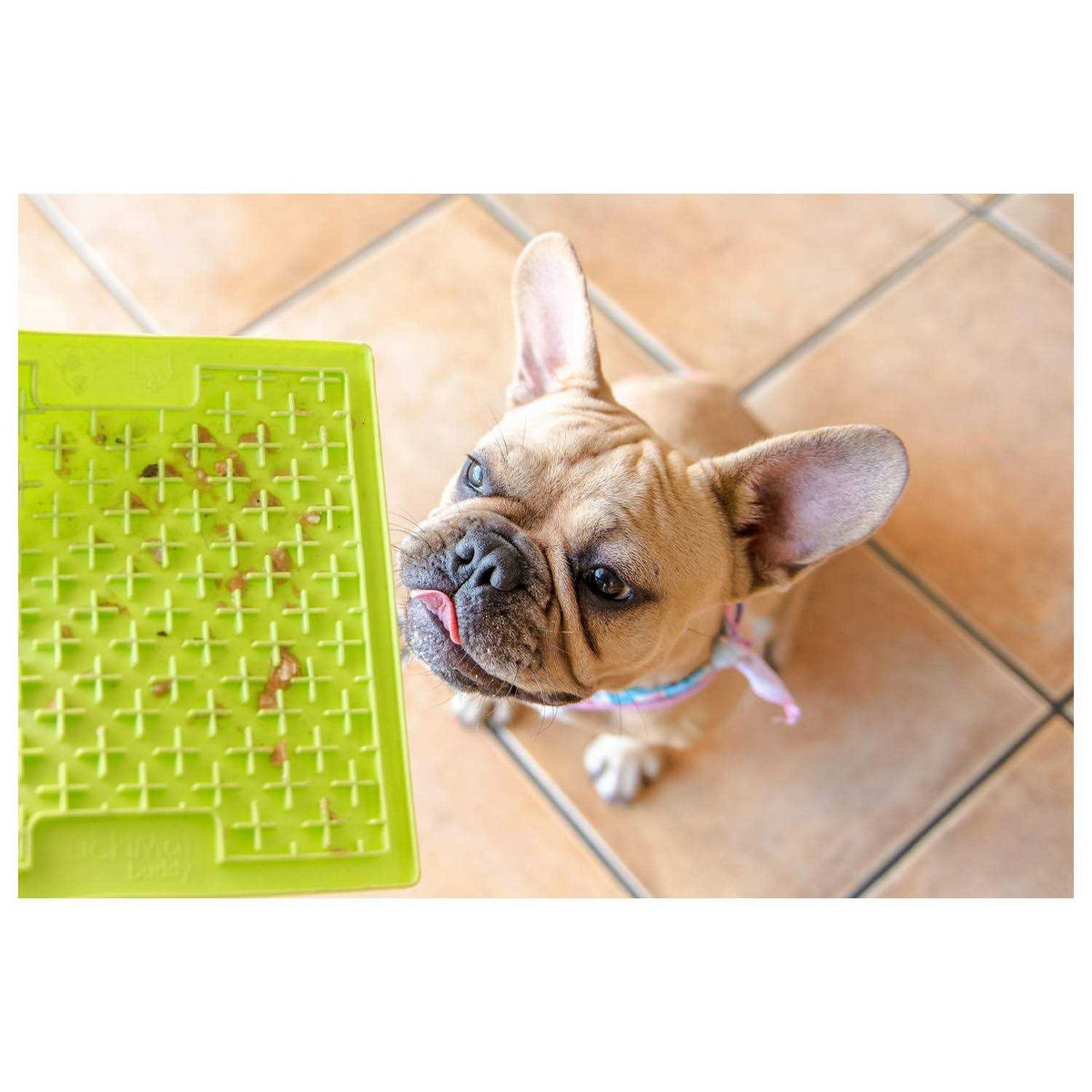 LickiMat Buddy D9390