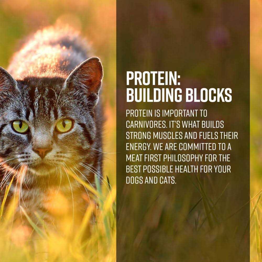 Gamefowl Recipe Cat Dry Food L552287