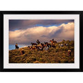 Black Frame Photographic Print F288379