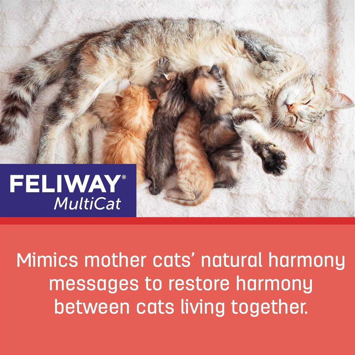 Multicat 3-Pack Refill I542