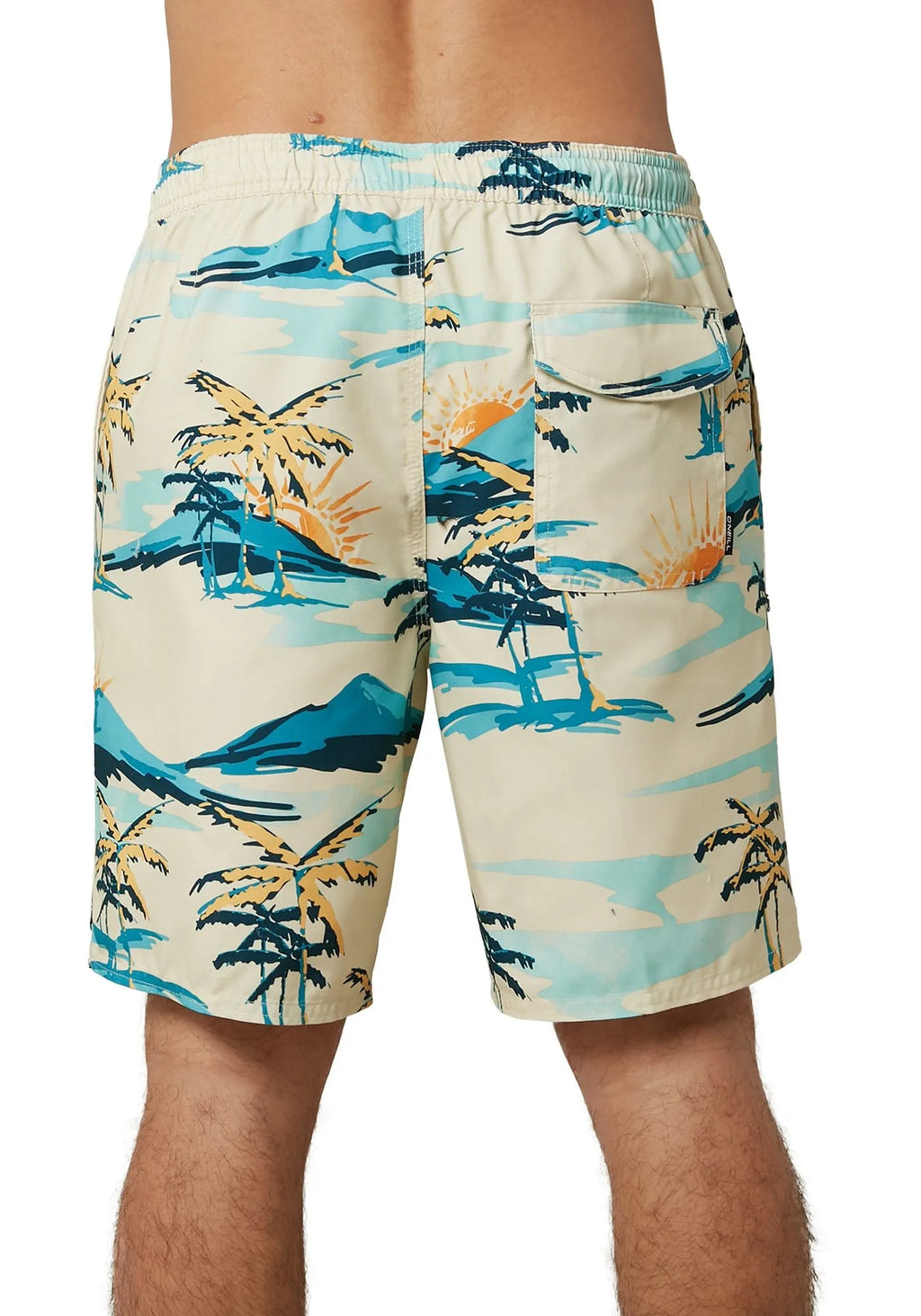 Men's Cabana Volley Board Shorts Bone Palm Trees L628137