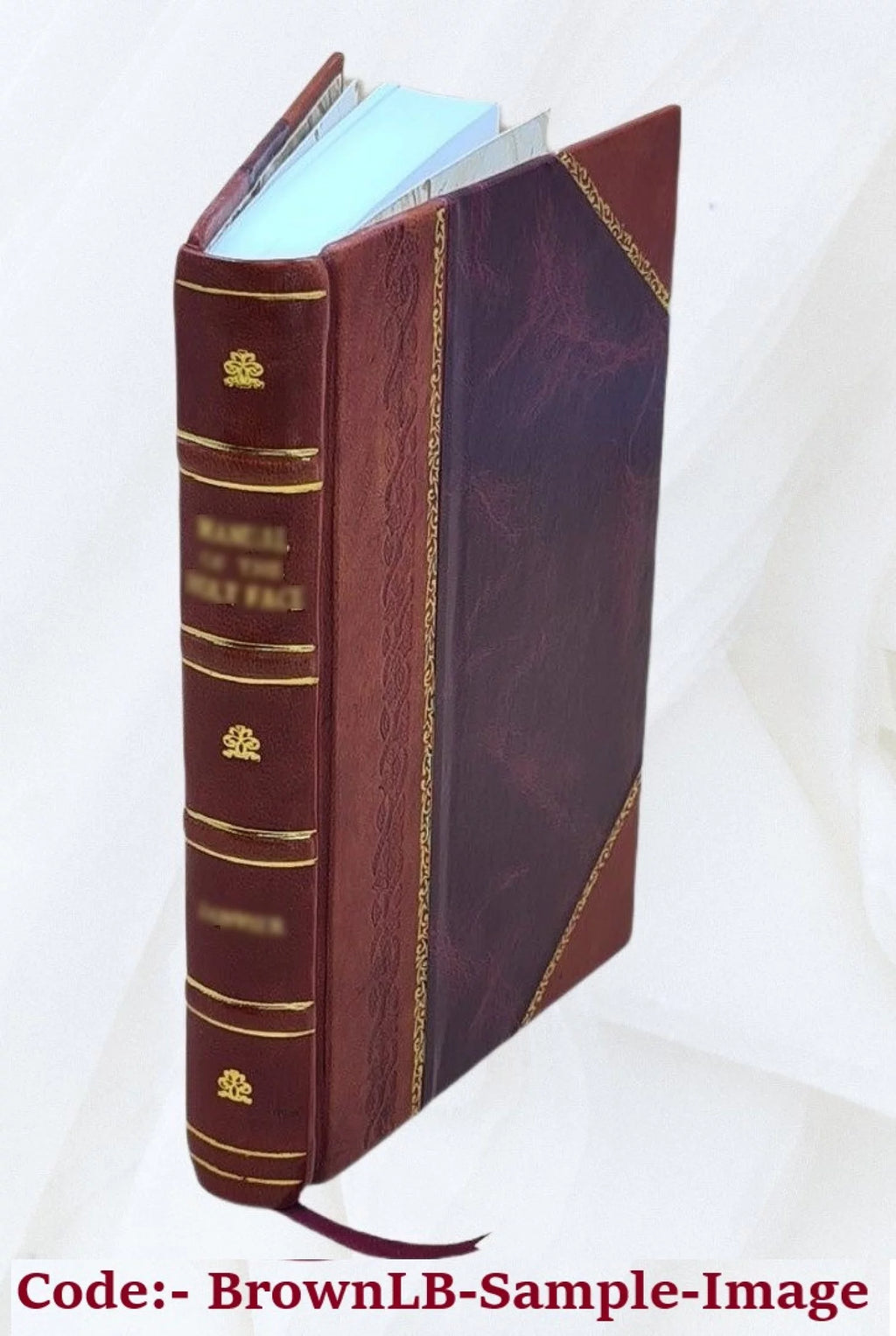 Leather Bound Book B116057