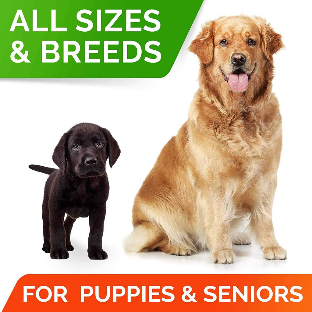 Probiotics for Dogs T51048