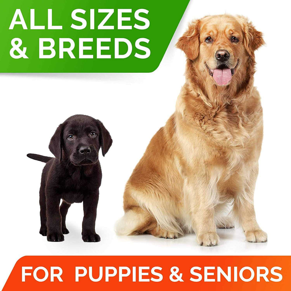 Probiotics for Dogs T51048