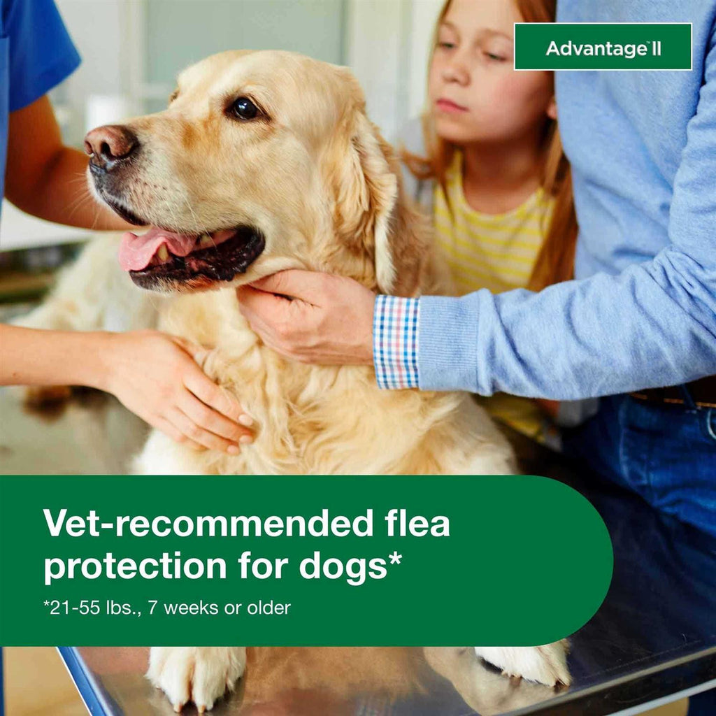 Advantage II for Dogs P757
