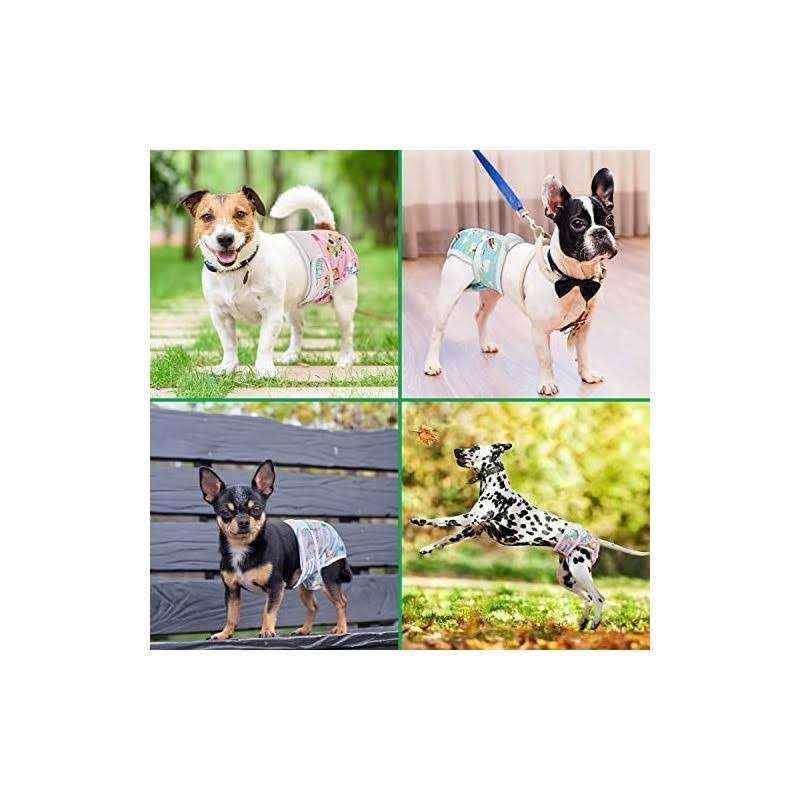Washable Female Dog Diapers T67527