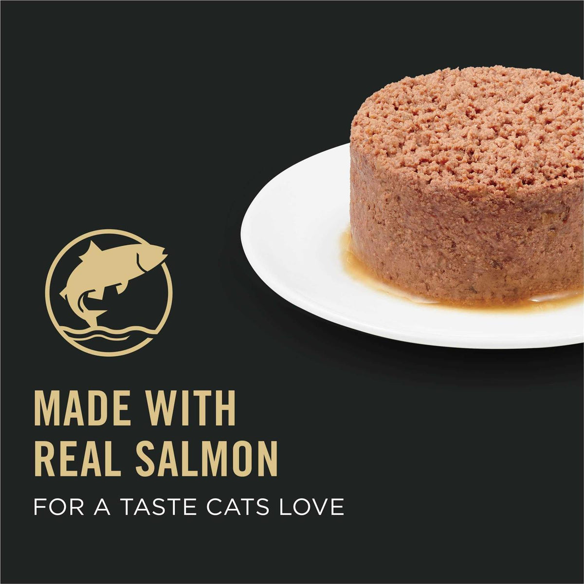 Wet Cat Food I9789