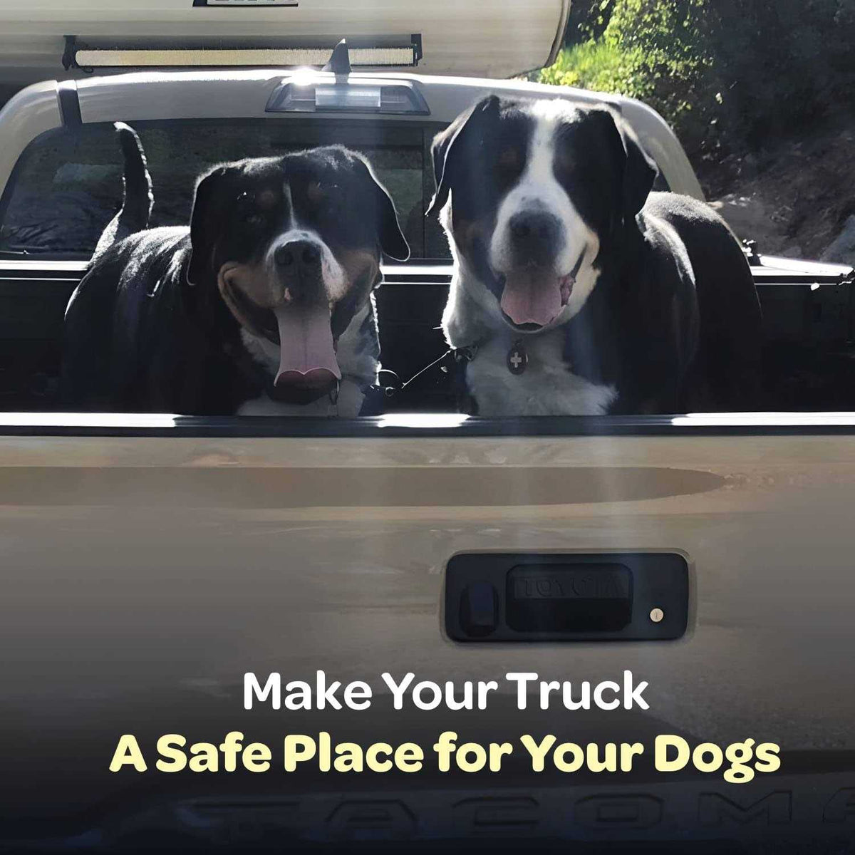 Dog Truck Bed Leash Tether O220