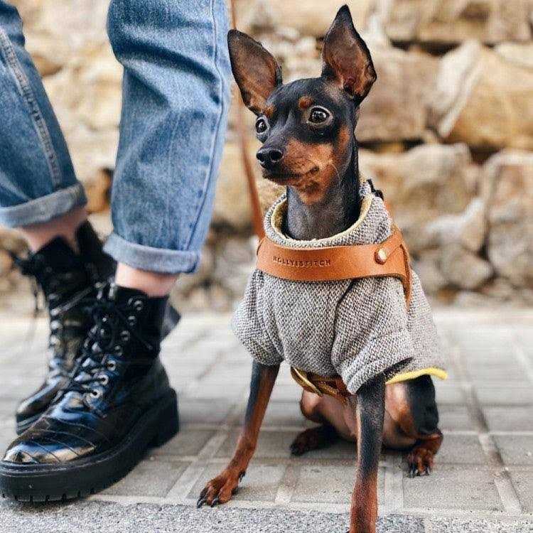Leather Dog Harness W7567