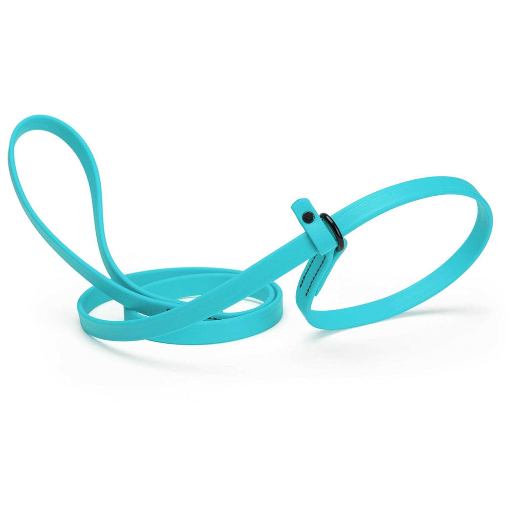 Biothane Slip Dog Leash C770342