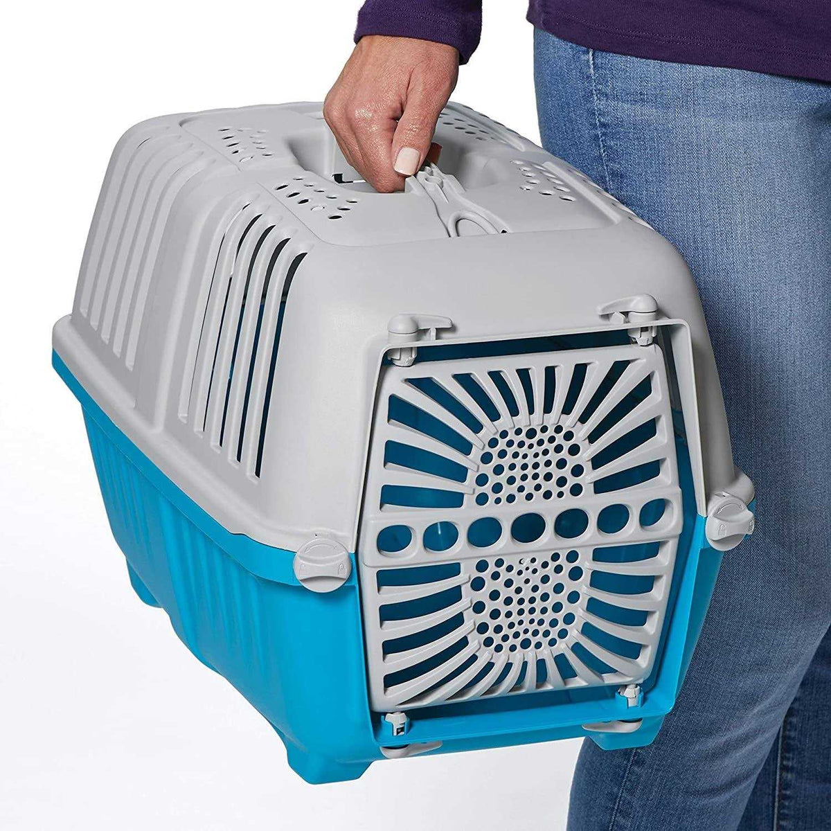 Plastic Door Travel Carrier Pet Kennel R570