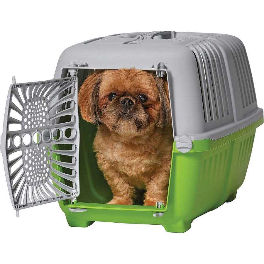 Plastic Door Travel Carrier Pet Kennel R570
