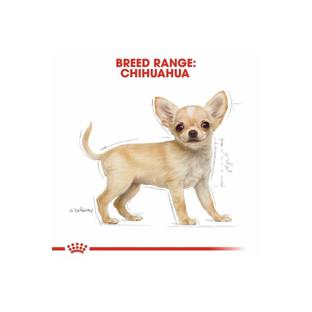 Dry Dog Food P387