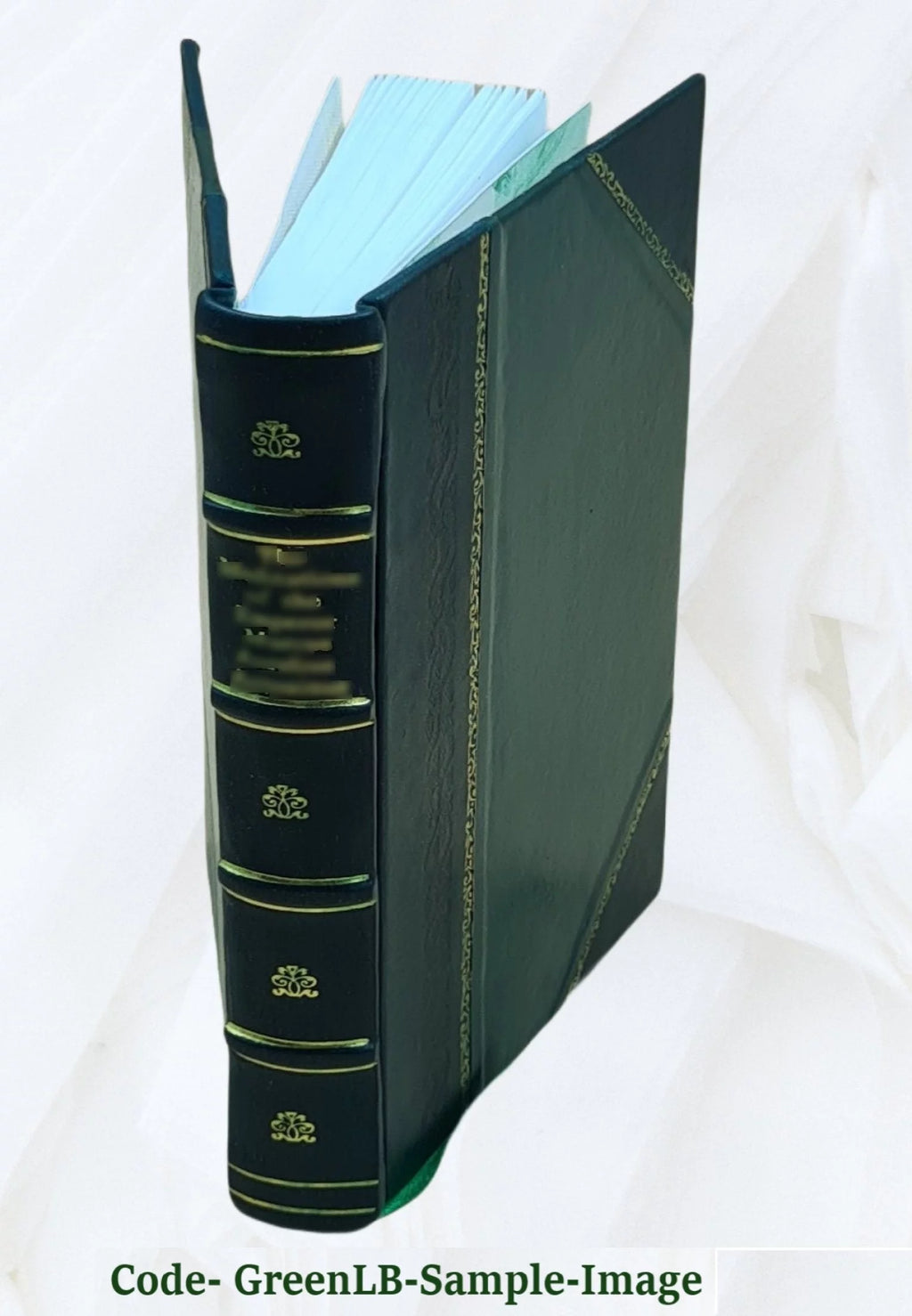 Leather Bound Book B116057