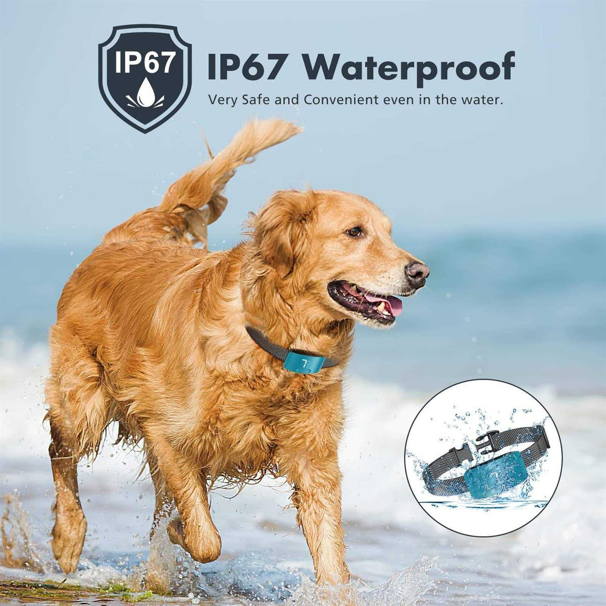 Rechargeable Anti Barking Training Collar S735671