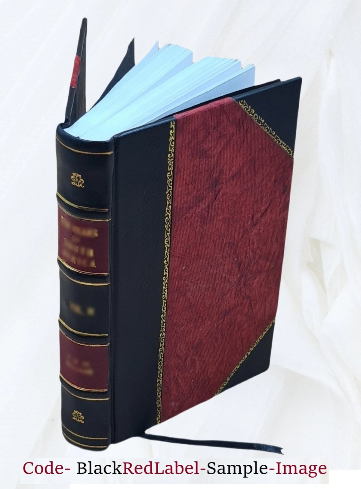Leather Bound Book B116057