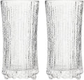 Champagne Glass Set Of 2 V132196